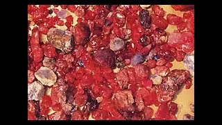 Treasures Of The Earth: Gem Mining - Nova Documentary
