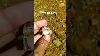 White Safir
