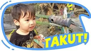 Quality Time with Family - Vlog Kota Malang