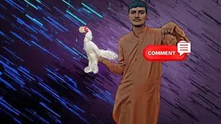 Aj murgiyo ka introduction krwya , comments mein btaiy Kon Kon si nasal hy 😇