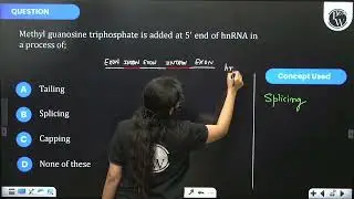 Methyl guanosine triphosphate is added at \(5^{\prime}\) end of hnRNA in a process of;&nbsp;...