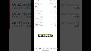 MY PIPS EA || GOLD EA || XAUUSD SCALPER #goldea #forex #trading