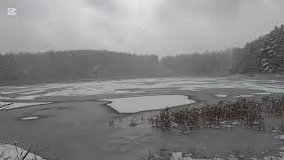 Silent Frozen Pond in Japan｜日本の静かな凍結沼