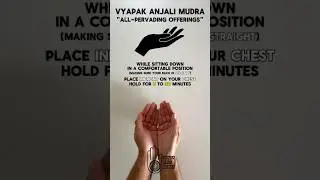 Vyapak Anjali Mudra | How to Practice | 