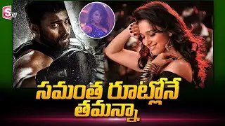 Tamannaah Special Song | Tamannaah Ghani Movie Song | Varun Tej | SumanTV Telugu