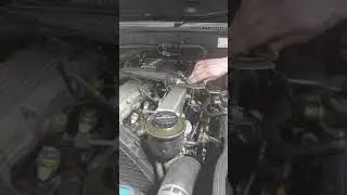 80 series Toyota 1HDT injection pump fueling troubles