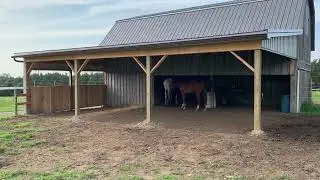 Roanchar Ranch Draft Horse Rescue Virtual Tour