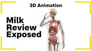 Ultra-Realistic 3D Human Digestion &ndash; Milk Journey Inside the Body