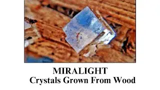 Miralight Wood Chip Process Movie