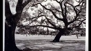 City Beat History Corner: Palo Alto Parks