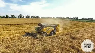 Moisson 2017 |New Holland| ETA Saffray