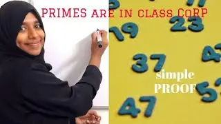 Computation Complexity- Proof that PRIMES is in class CoRP