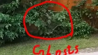 Best Ghost Sighting December 2014