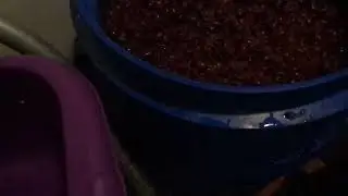 Dry red wine made in the old Cossack way.
