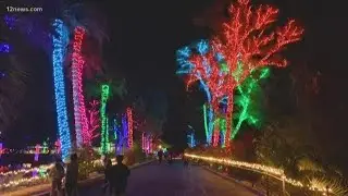 ZooLights at the Phoenix Zoo is a great holiday experience