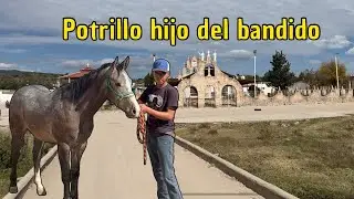 Visitando a los amigos del ejido del centro | Conociendo su potrillo de carreras
