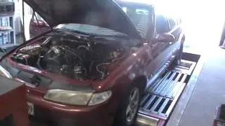Spoolinboosts turbo ef falcon on the dyno lifting the head at 430rwkw