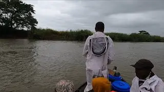 The beekeepers of Chichongue, Mozambique