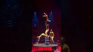 Circus Ka Jadoo | Aankhonko Yakeen Nahi Hoga #circus #circusshow #indiancircus #circuslife   #shorts