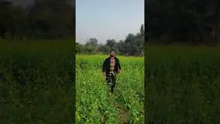 Tujhe dekha to ye jana sanam guitar music DDLG #shortvideo #shorts Dr. Govind Official Govind Maurya