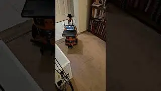 Big Orange searches for object on the go