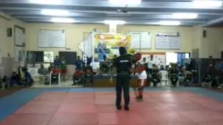 Wushu -Sanshou