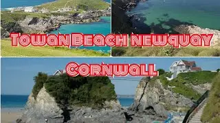 Cornwall Beaches | Towan Beach & Towan Headland Visit By Honey & Bubzy In Newquay | Beautiful UK