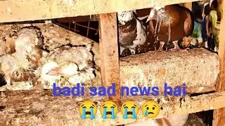 Ye kya hua sad news Mila 😭😭😭
