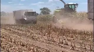 WhatsApp Video 2025 12 17 at 10 23 41 AM