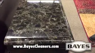 Bayes Eco-Friendly Multi-Furniture Cleaners: The Pro Series