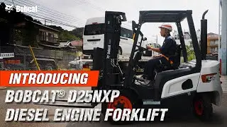 Introducing Bobcat&reg; D25NXP Diesel Engine Forklift