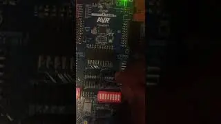 Processors Lab 10: Activity 4