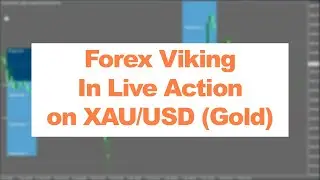 Forex Viking: Live Performance On Gold