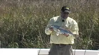Light tackle Redfish in the back marshes of Saint Simons Island GA