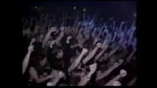 Cup O Joy 2008 Lookback Video