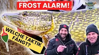 Frost-Alarm: Diese Taktik bringt den Hecht!