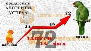 Бизнес система команды DREAM TEAM Гарантии и Результат