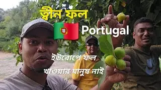 ত্বীন ফল ইউরোপে ফল খাওয়ার মানুষ নাই😋 There are no people who eat fruit in Europe.😋 BAYZID-VLOGS 🇵🇹🇵🇹