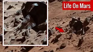 NASA's Mars Rover Released Strange Stunning 4K Images of Mars - Live Footage from Mars Planet