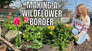 CREATING A WILDFLOWER BORDER / ALLOTMENT GARDENING FOR BEGINNERS