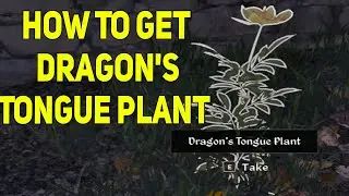 How To Get Dragon's Tongue Plant in Oblivion Remastered, Where To Find Dragon's Tongue Plant