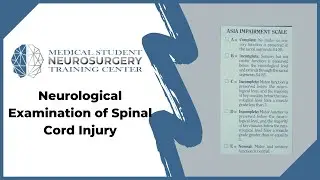 Neurological Examination of Spinal Cord Injury