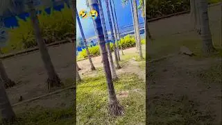 Firoz Khan 26 #Teri yadon ki Chadar odhe #short #viralshort #trending #YouTube#shorts