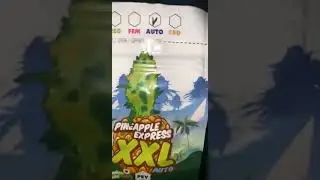 Nz weed grow (auto seeds)
