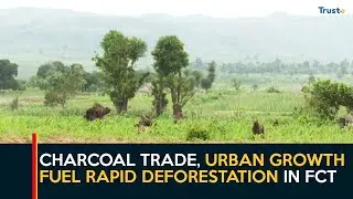 Kuje&rsquo;s Vanishing Forests: Charcoal Trade, Urban Growth Fuel Rapid Deforestation In FCT
