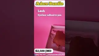 lash bundles | lash business 2023 | statement bomb lashes