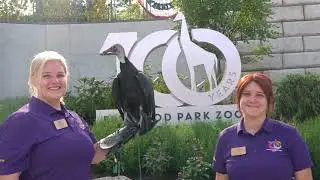 Vulture Awareness 2024