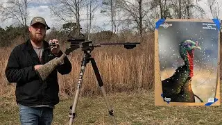 Patterning Stevens by Savage 301 Turkey Single-Shot Shotgun with Federal Premium Heavyweight TSS