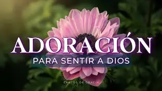 Adoración Profunda | Recibe el 2026 en la Presencia de Dios ✨🕊️