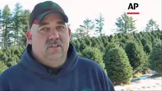 Retailers expect to sell tens of millions of Christmas trees this year. The AP's John Mone reports o